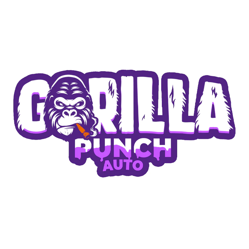 Fast Buds Gorilla Punch Auto
