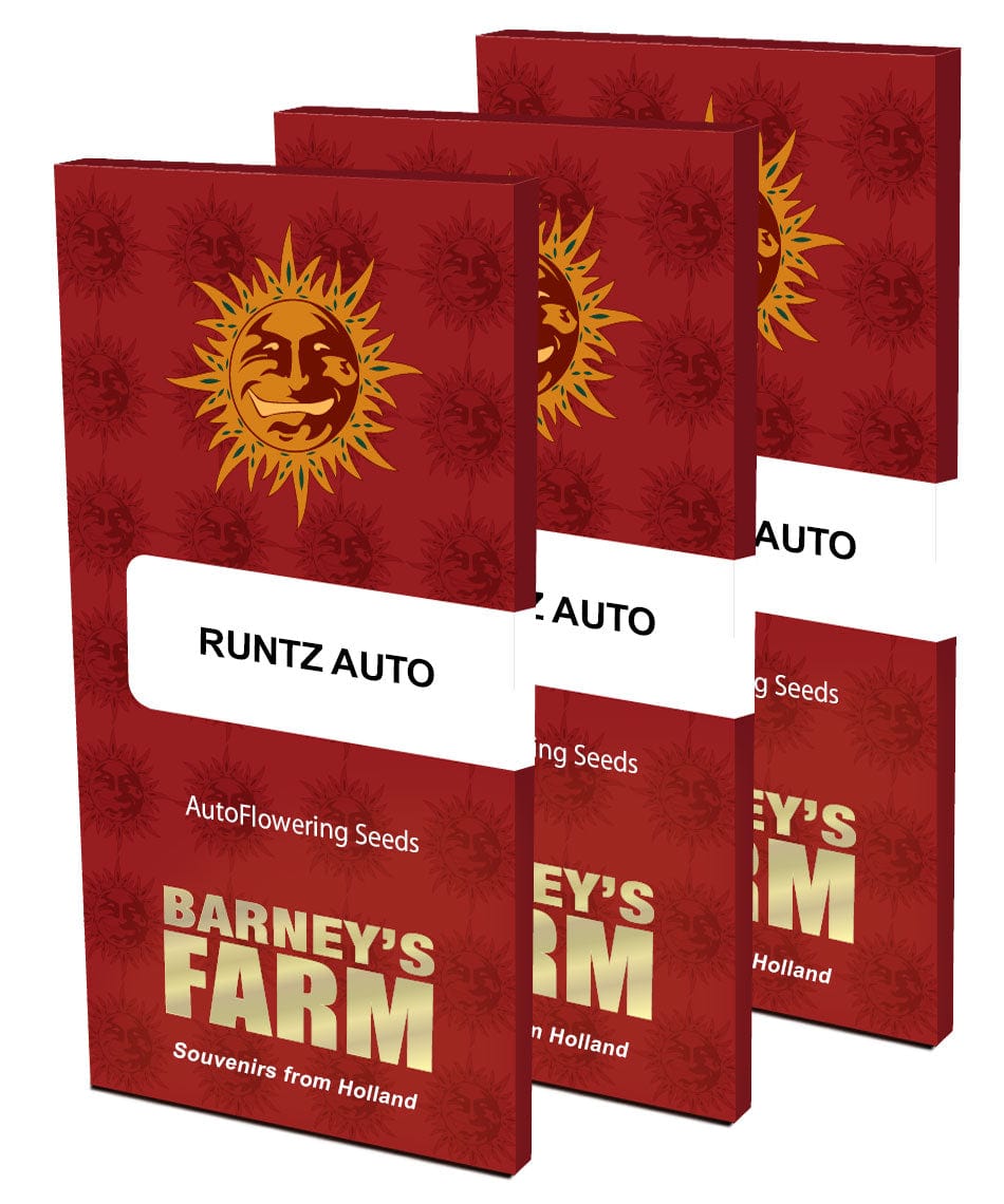 Barney's Farm Runtz Auto